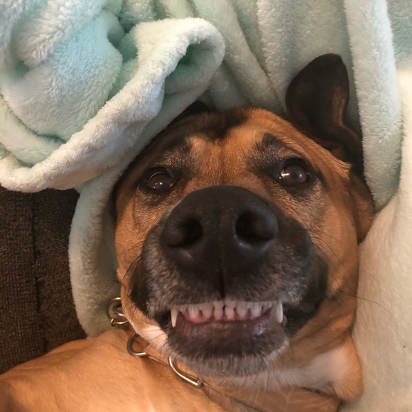 Meet your Posher, Sarah - Picture 6 of 7